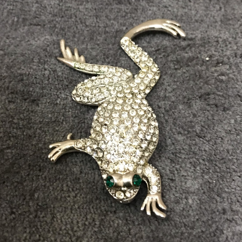 Silver Rhinestone Frog Brooch on Black Fabric